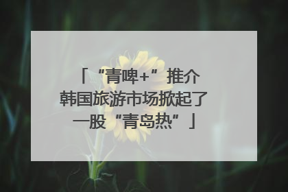 “青啤+”推介 韩国旅游市场掀起了一股“青岛热”