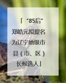 “85后”郑皓元拟提名为辽宁地级市县（市、区）长候选人