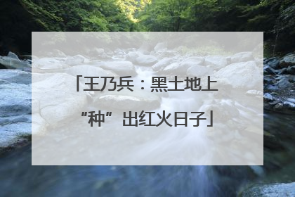 王乃兵：黑土地上“种”出红火日子