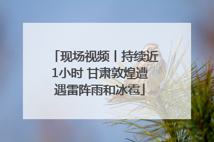 现场视频丨持续近1小时 甘肃敦煌遭遇雷阵雨和冰雹