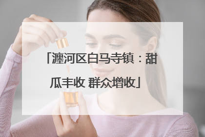 瀍河区白马寺镇：甜瓜丰收 群众增收