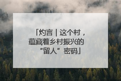灼言｜这个村，蕴藏着乡村振兴的“留人”密码