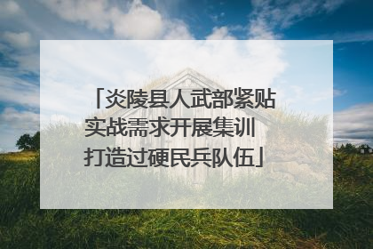 炎陵县人武部紧贴实战需求开展集训 打造过硬民兵队伍