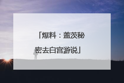 爆料：盖茨秘密去白宫游说