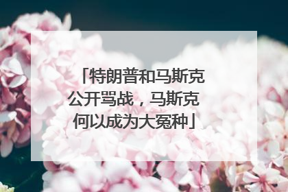特朗普和马斯克公开骂战，马斯克何以成为大冤种
