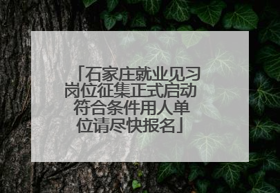 石家庄就业见习岗位征集正式启动 符合条件用人单位请尽快报名