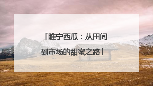 睢宁西瓜：从田间到市场的甜蜜之路