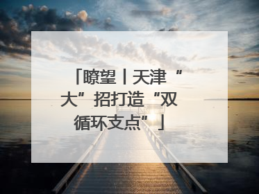 瞭望丨天津“大”招打造“双循环支点”