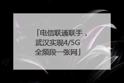 电信联通联手，武汉实现4/5G全频段一张网