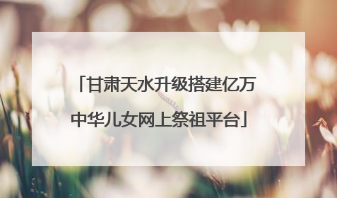 甘肃天水升级搭建亿万中华儿女网上祭祖平台