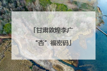 甘肃敦煌李广“杏”福密码