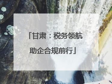 甘肃：税务领航 助企合规前行