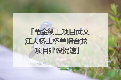 甬金衢上项目武义江大桥主桥单幅合龙 项目建设提速