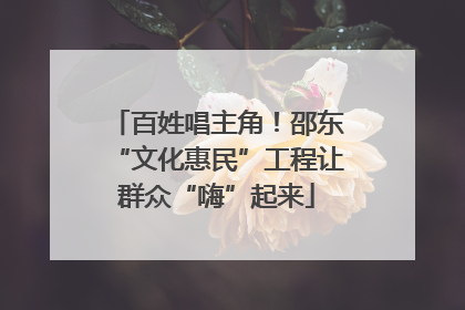 百姓唱主角！邵东“文化惠民”工程让群众“嗨”起来
