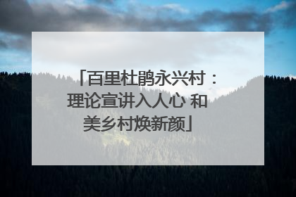 百里杜鹃永兴村：理论宣讲入人心 和美乡村焕新颜