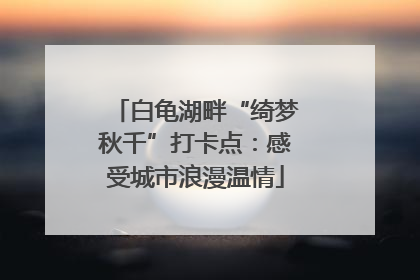 白龟湖畔“绮梦秋千”打卡点：感受城市浪漫温情