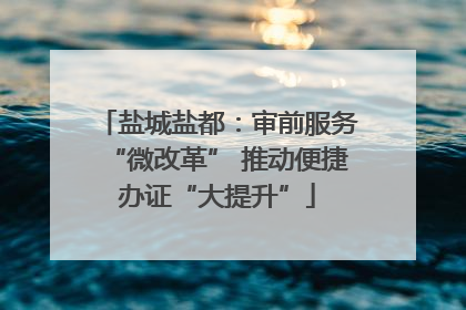盐城盐都：审前服务“微改革” 推动便捷办证“大提升”