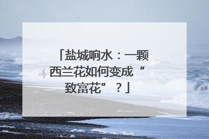 盐城响水：一颗西兰花如何变成“致富花”？