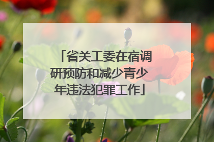 省关工委在宿调研预防和减少青少年违法犯罪工作