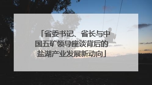 省委书记、省长与中国五矿领导座谈背后的盐湖产业发展新动向