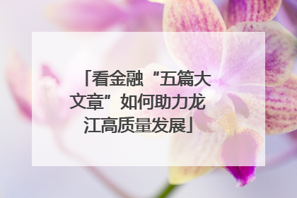 看金融“五篇大文章”如何助力龙江高质量发展