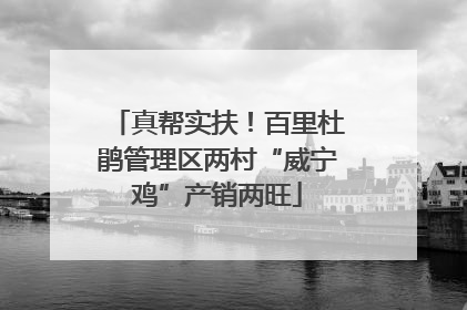 真帮实扶！百里杜鹃管理区两村“威宁鸡”产销两旺
