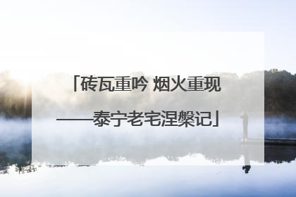 砖瓦重吟 烟火重现——泰宁老宅涅槃记