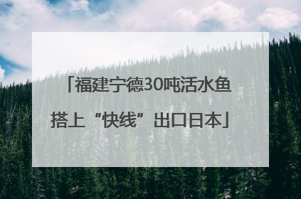 福建宁德30吨活水鱼搭上“快线”出口日本