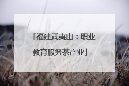 福建武夷山：职业教育服务茶产业