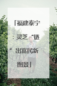 福建泰宁：灵芝“链”出富民新图景