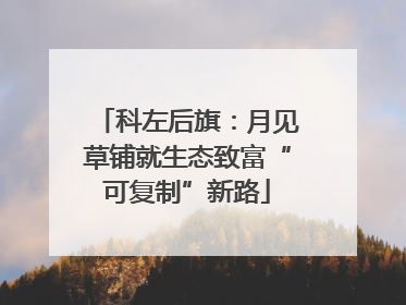 科左后旗：月见草铺就生态致富“可复制”新路