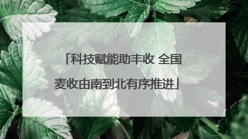 科技赋能助丰收 全国麦收由南到北有序推进