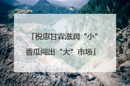 税惠甘霖滋润“小”香瓜闯出“大”市场