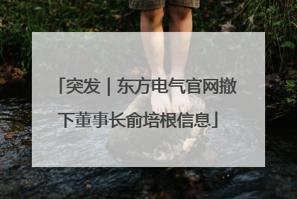 突发｜东方电气官网撤下董事长俞培根信息
