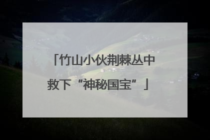 竹山小伙荆棘丛中救下“神秘国宝”