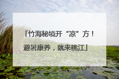 竹海秘境开“凉”方！避暑康养，就来桃江