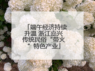 端午经济持续升温 浙江嘉兴传统民俗“带火”特色产业