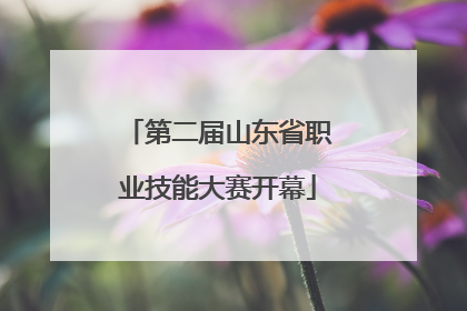 第二届山东省职业技能大赛开幕