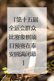 第十五届全运会群众比赛象棋项目预赛在泰安圆满闭幕