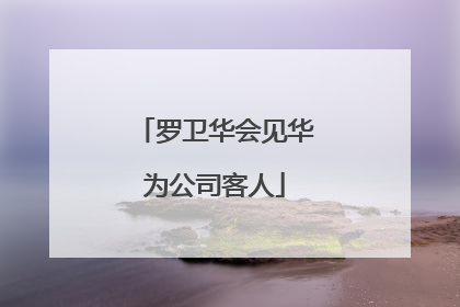 罗卫华会见华为公司客人