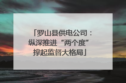 罗山县供电公司：纵深推进“两个度” 撑起监督大格局