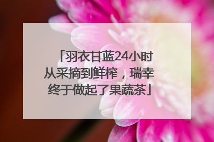 羽衣甘蓝24小时从采摘到鲜榨，瑞幸终于做起了果蔬茶