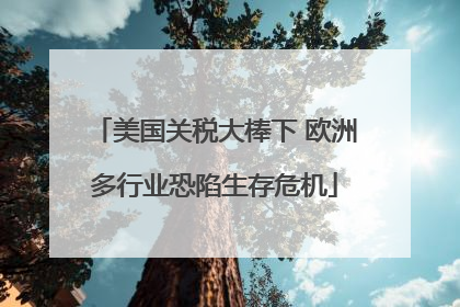 美国关税大棒下 欧洲多行业恐陷生存危机