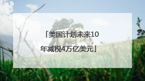 美国计划未来10年减税4万亿美元