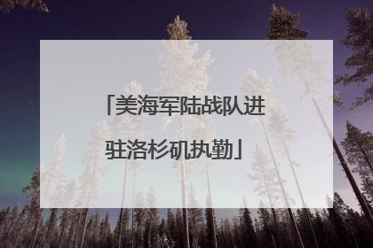 美海军陆战队进驻洛杉矶执勤