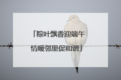 粽叶飘香迎端午 情暖邻里促和谐