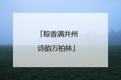 粽香满并州 诗韵万柏林