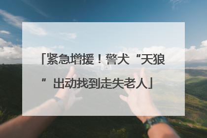 紧急增援！警犬“天狼”出动找到走失老人