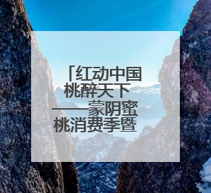 红动中国 桃醉天下——蒙阴蜜桃消费季暨蒙阴蜜桃产业推介会成功举办