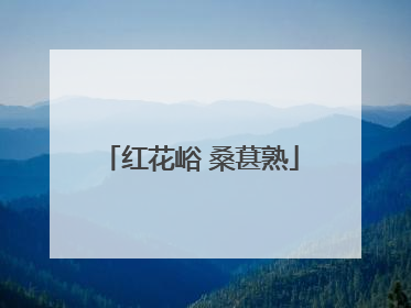 红花峪 桑葚熟